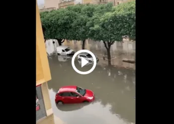 Progetto Senza Titolo 12 1