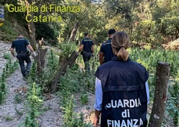 Pattuglia Piantagione 2