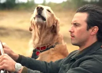 dove vedere attraverso i miei occhi in streaming