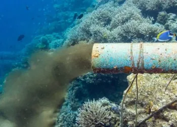 Mare Inquinato 7azmrmm1w2o0akg3inccdev7w8l3zx9g3rdj9050rie