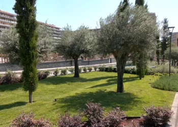 00000.00 08 11 17.Immagine008