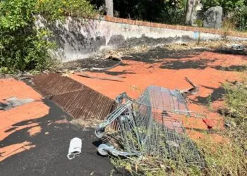 39781977 4576 4dc6 945a Fcb647d36354