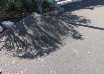 Immagine WhatsApp 2024 07 17 Ore 162942 Bd780246