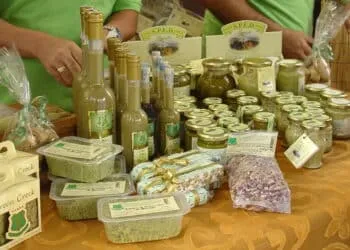 Sagra Del Pistacchio