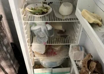 CONTROLLI DELLA POLIZIA DI STATO IN UN BAR DI CORSO SICILIA 15 CHILI DI PRODOTTI ITTICI SEQUESTRATI E GRAVI VIOLAZIONI DELLE NORME SULLA SICUREZZA SANZIONI PER 15 MILA EURO 3 E1737547462226