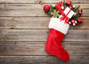 Calza E1672931791964