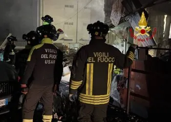 Photo 2025 01 22 06 33 52