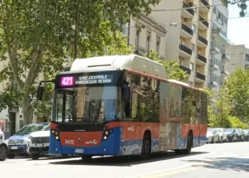 476805024 1059201379579971 7207527193242556914 N