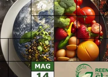 WhatsApp Image 2025 05 08 At 133218