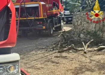 WhatsApp Image 2025 06 17 At 093355